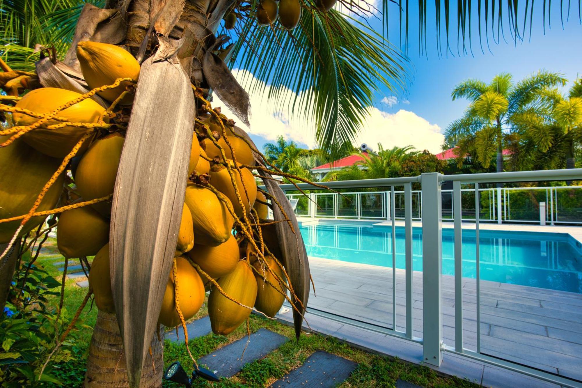 Hotel & Villa Le Cocotel Saint-Francois  Bagian luar foto